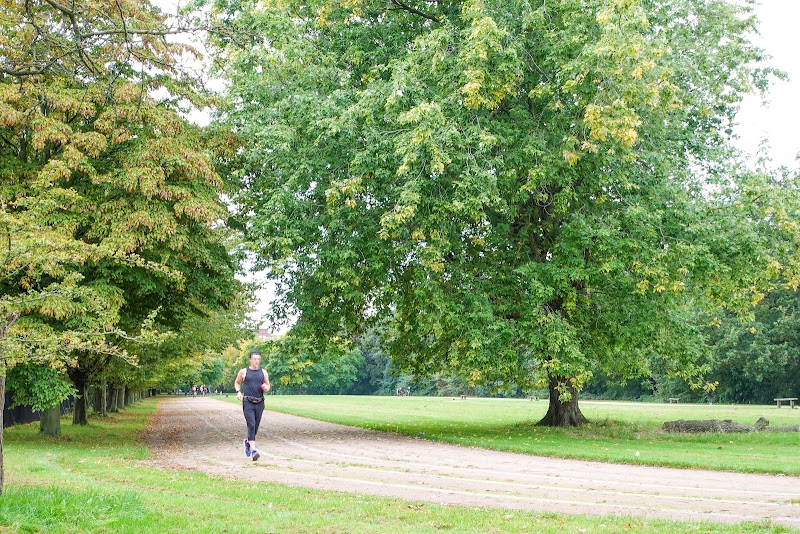 Regent's Park Running Track - Regent's Park Running Track, London NW1 4RU, UK