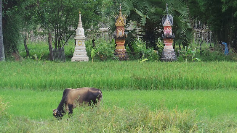 Muang Champassak - Muang Champassak, Laos