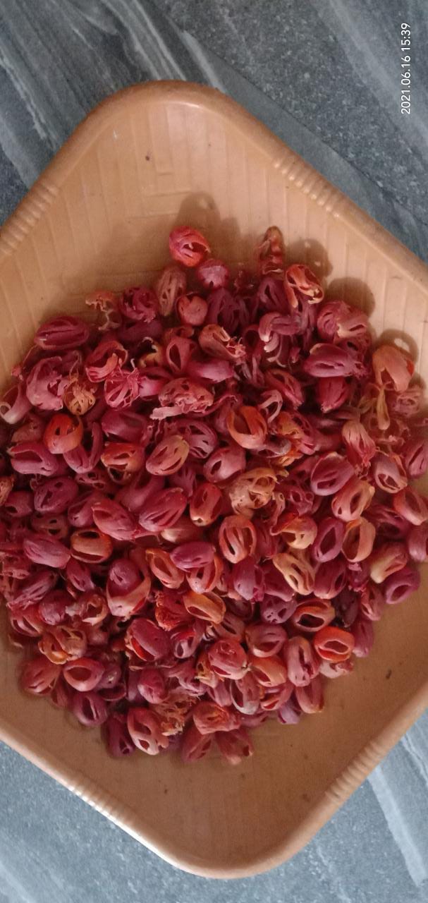 Wayanad Spices Gartens - Wayanad Spices Gartens Kaloor, Kalloor, Kerala 673592, India