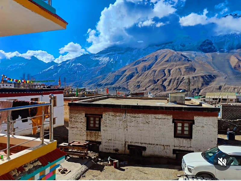 Spiti Tara - Spiti Tara 63GC+CC7, Kaza, Kaza Khas, Himachal Pradesh 172114, India
