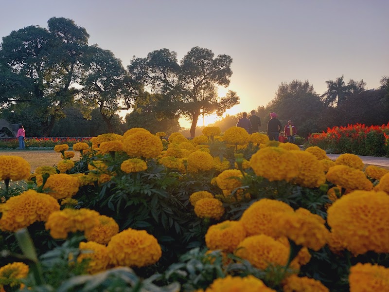 Terraced Garden - Terraced Garden 33 Market Rd, Sector 33B, Sector 33, Chandigarh, 160020, India