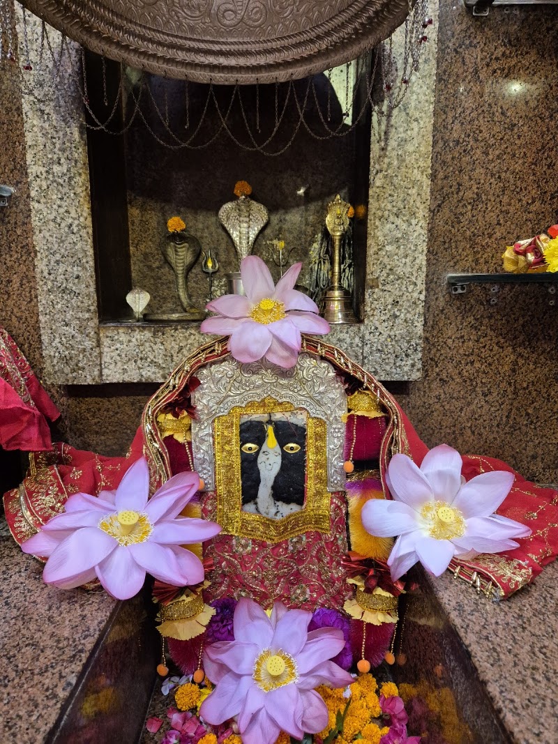 Nag mandir ranital - Nag mandir ranital Nag mandir, Chelian, Himachal Pradesh 176029, India