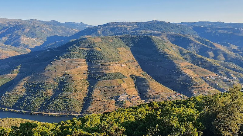 Miradouro São Leonardo de Galafura - Miradouro São Leonardo de Galafura N 313 1, Galafura, Portugal