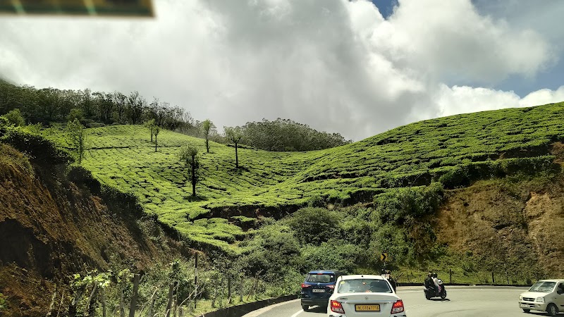 Munnar Tea Trail Tour - Munnar Tea Trail Tour Lockhart Tea Factory Rd, Devikulam, Kerala 685613, India