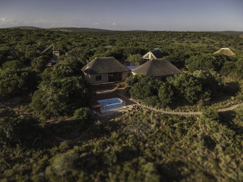 Induli Game Lodge - Amakhala Game Reserve - Induli Game Lodge - Amakhala Game Reserve, Induli Lodge - Amakhala Game Reserve, Paterson, 6187, South Africa