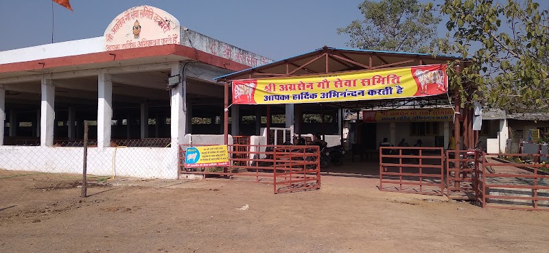 Shree Agrasen Gau Seva Samiti Kanberi - Shree Agrasen Gau Seva Samiti Kanberi, Unnamed Road, 7MPV+P4H, Chhattisgarh 495454, India