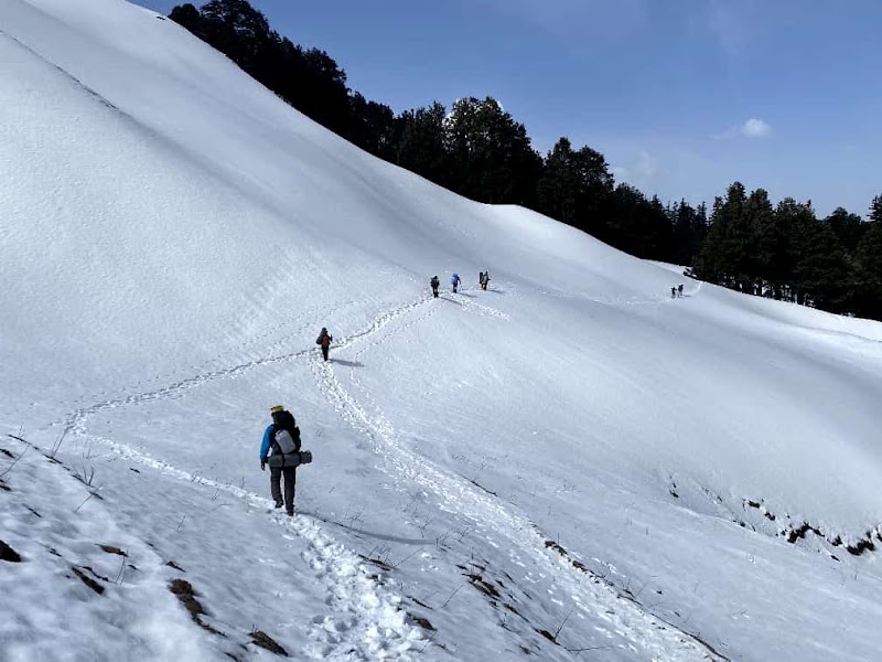 Wander sky Travels - Wander sky Travels, near white stone resort, Prini, Manali, Himachal Pradesh 175143, India