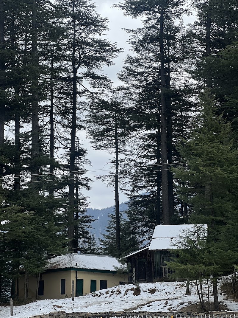 Bahu Lake - Bahu Lake J8F9+VW5, Gadagusheni Rd, Bahu, Himachal Pradesh 175123, India