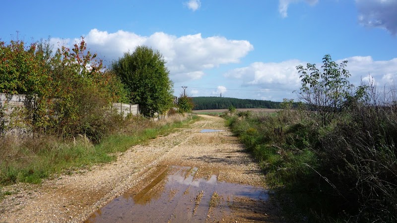 Pískovna Příšov - Pískovna Příšov, Unnamed Road, 330 11 Příšov-Třemošná, Czechia