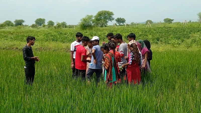 Rani Avanti Bai Lodhi College Of Agriculture and Research Station Chhuikhadan - Rani Avanti Bai Lodhi College Of Agriculture and Research Station Chhuikhadan, SH 5, Chhuikhadan, Radhapur, Chhattisgarh 491885, India