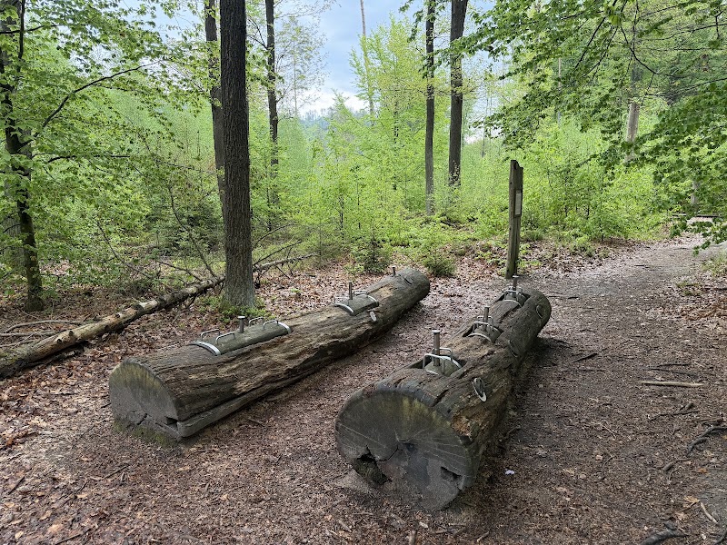 Lynx' Path / Gabriela's Trail - Lynx' Path / Gabriela's Trail 405 02 Hřensko-Děčín 2, Czechia