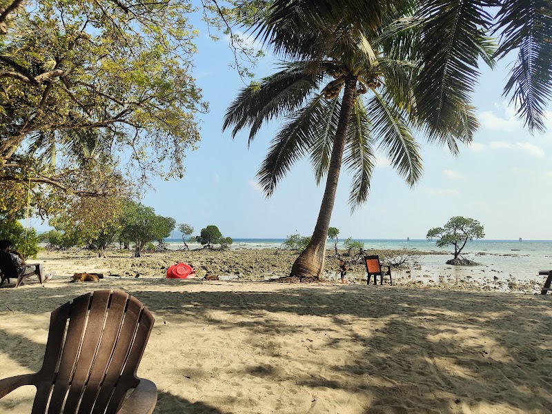 Coco-N-huts Beach Resort - Coco-N-huts Beach Resort, Nearby jetty bech number 2, Neil island, Neil Kendra, Andaman and Nicobar Islands 744104, India