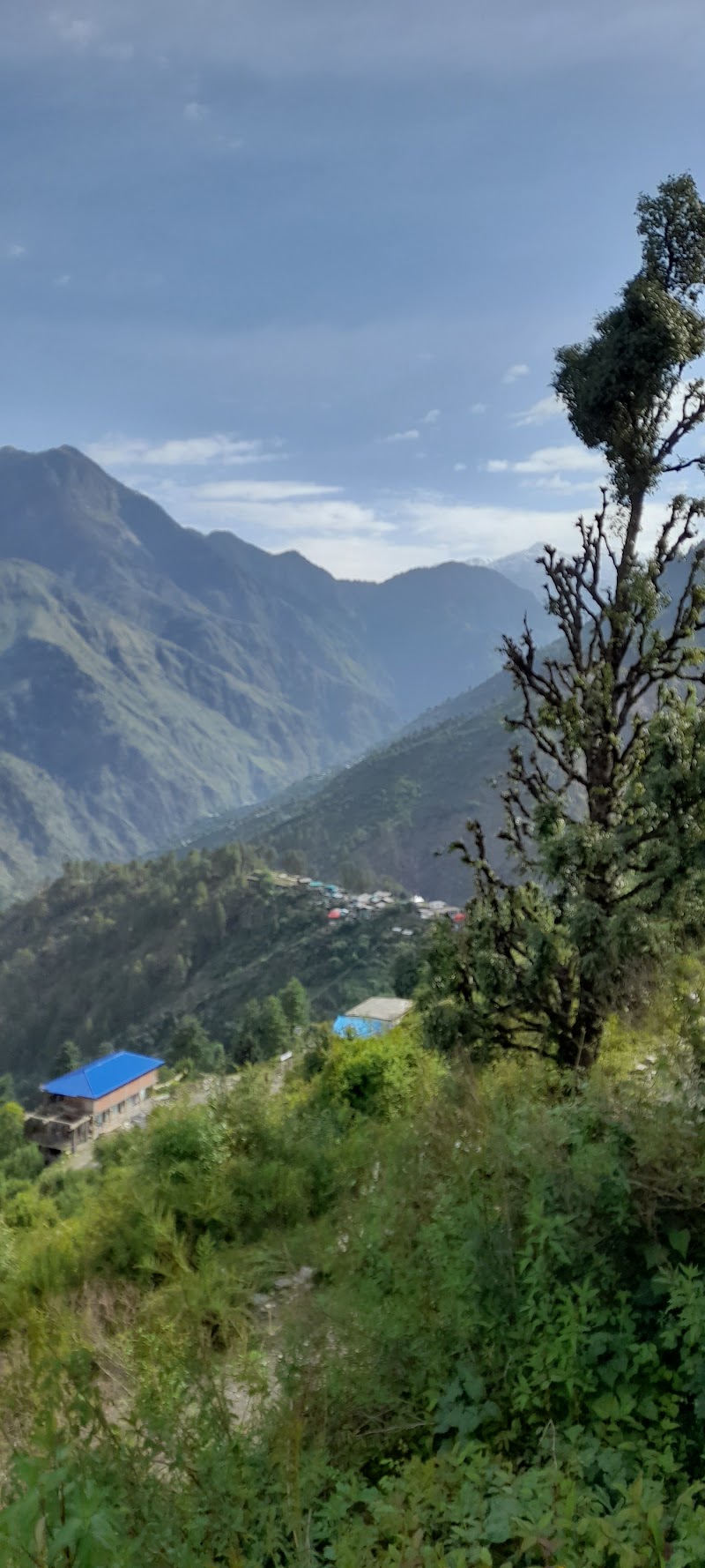 Himalaya Shelter guest house - himalaya shelter guest house, Sankri, Uttarakhand 249128, India