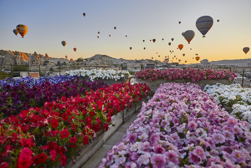 Tourla Cappadocia | Cappadocia Hot Air Balloon Tour - Tourla Cappadocia | Cappadocia Hot Air Balloon Tour, Tekelli, Mezitoğlu Sokak No:22/1, 50240 Uçhisar/Nevşehir Merkez/Nevşehir, Türkiye