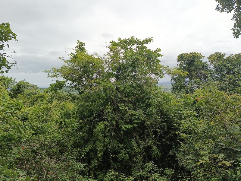 Ananthagiri hills watch tower - Ananthagiri hills watch tower, 8R8X+GQ3, Unnamed Road, Kondapur Kalan, Telangana 501102, India