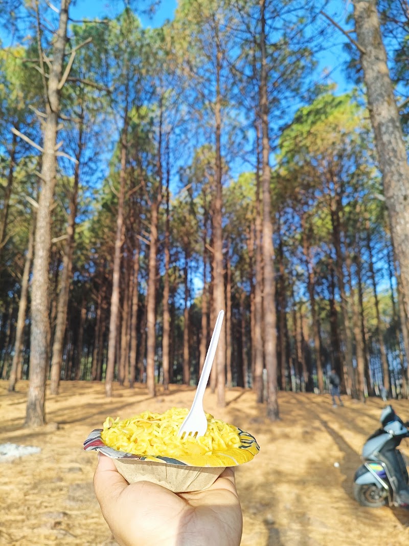 NETARHAT SUNRISE VIEW POINT - NETARHAT SUNRISE VIEW POINT F7PH+R4G, Netarhat, Jharkhand 835218, India