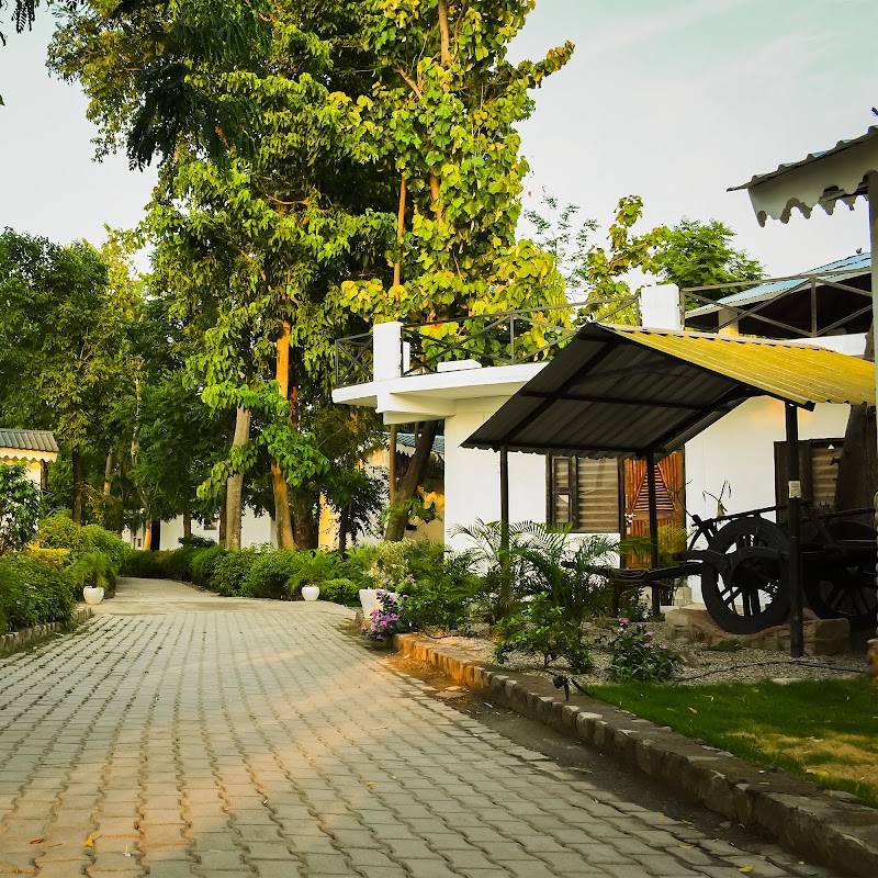 Ashoka Tiger Trail - Ashoka Tiger Trail Ramnagar, Dhela, Uttarakhand 244715, India