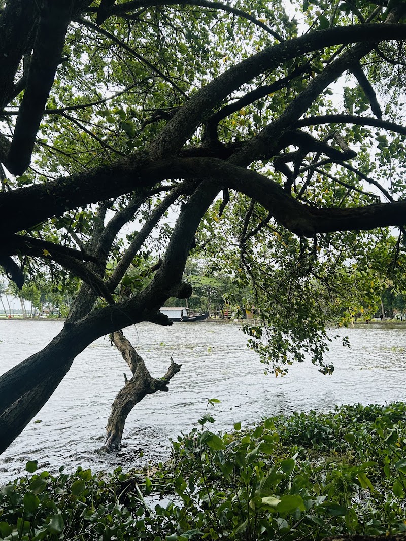 Kumarakom Bird Sanctuary Tower 2 - Kumarakom Bird Sanctuary Tower 2, JCJC+8G4, Kavanattinkara, Kumarakom, Kerala 686563, India