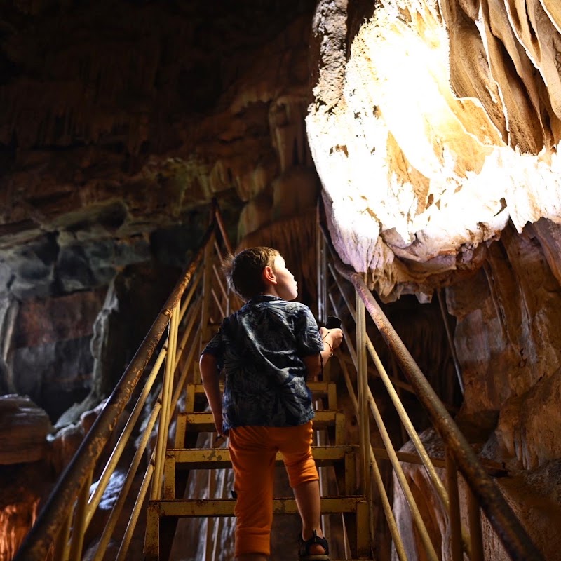 Vai Gioi Cave - Vai Gioi Cave, 6W82+C77, Nam Hoa Lu, Ninh Binh, Vietnam