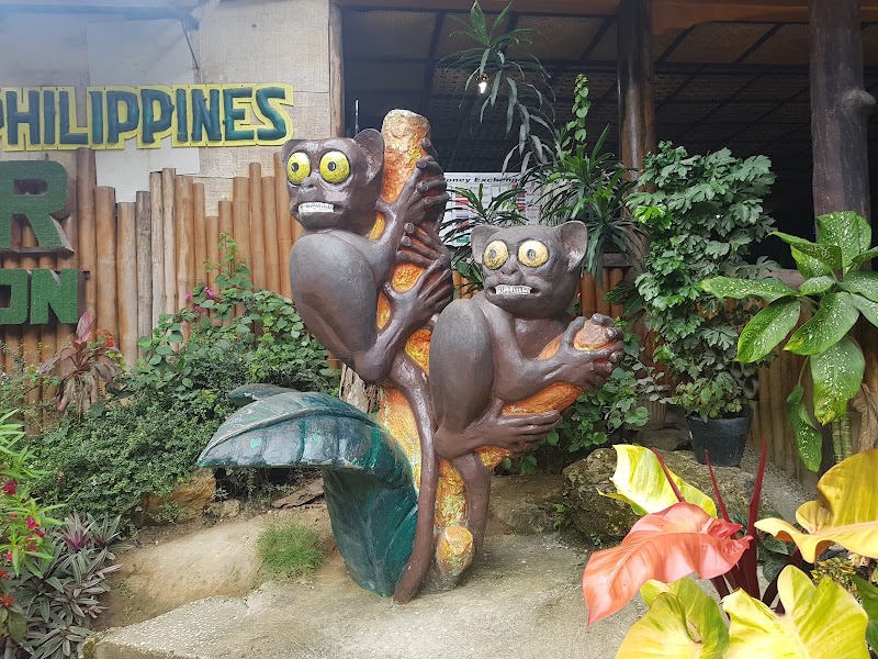 Bohol Tarsier Conservation Area - Bohol Tarsier Conservation Area, Villa Aurora, Bilar, 6317 Bohol, Philippines