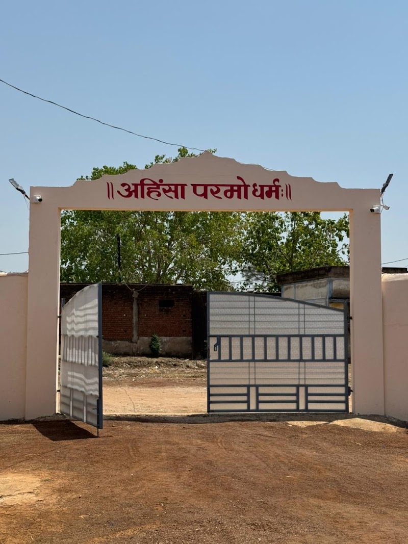 GAU AROGYAM - GAU AROGYAM, Mohara road, bypass, near mohara, Rajnandgaon, Mohara, Chhattisgarh 491441, India