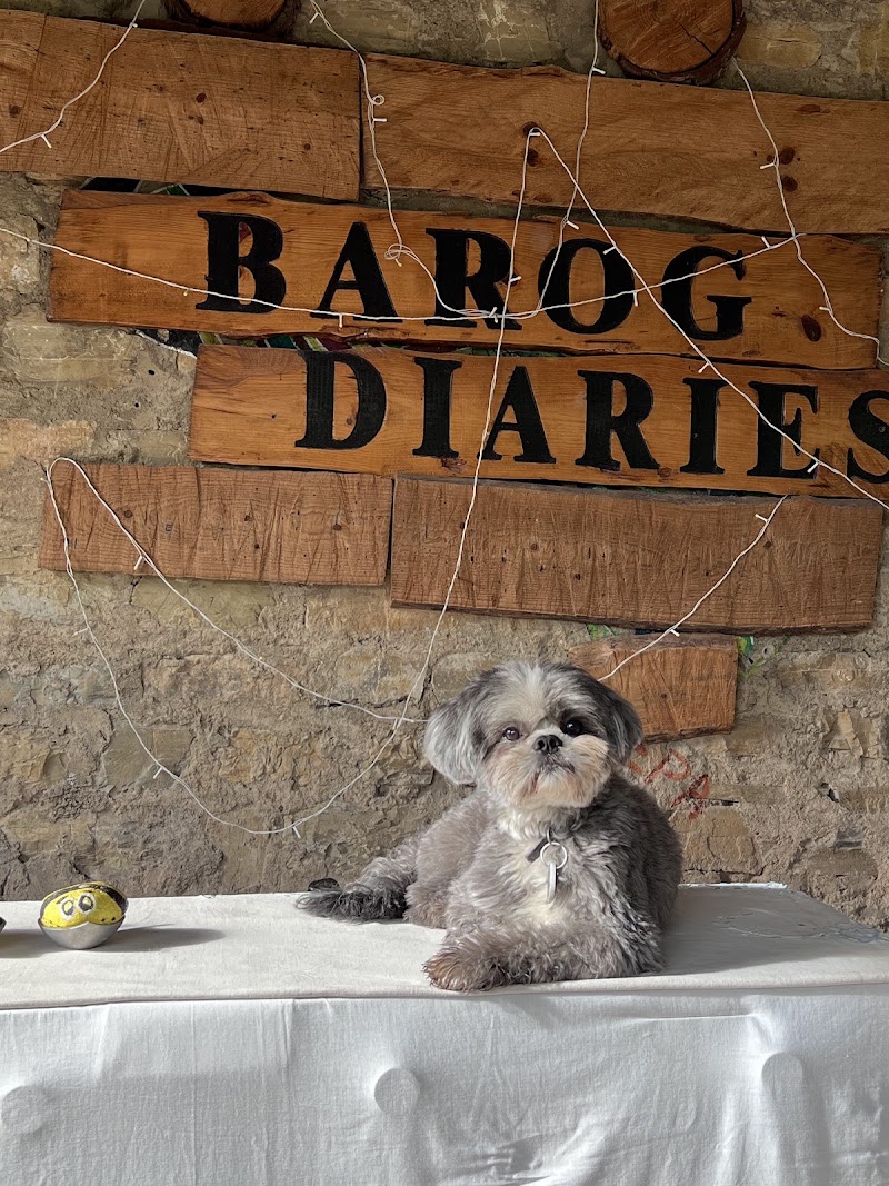 Barog Diaries - Barog Diaries, Diaries Village Mohri, Barog, Himachal Pradesh 173211, India