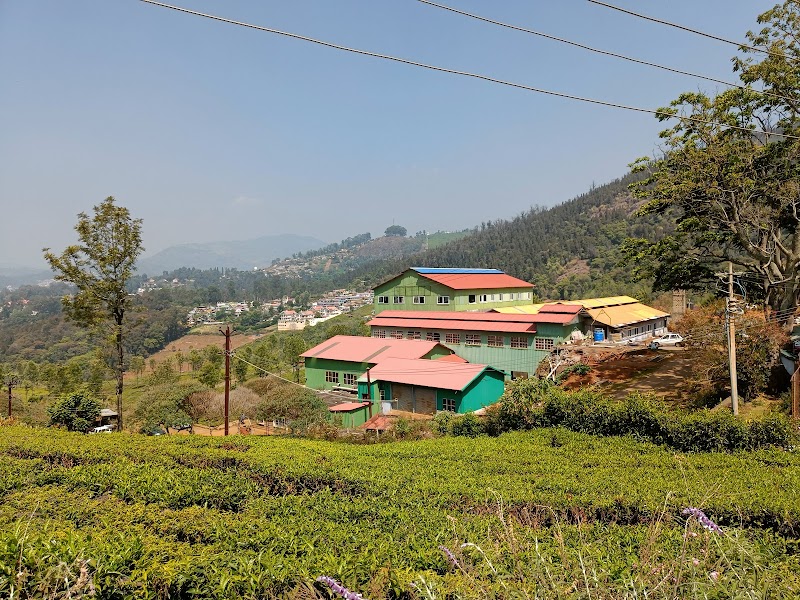 Highfield Tea Factory - Highfield Tea Factory No.141, Highfield Estate, Walker's Hill Road, Coonoor, Tamil Nadu 643101, India