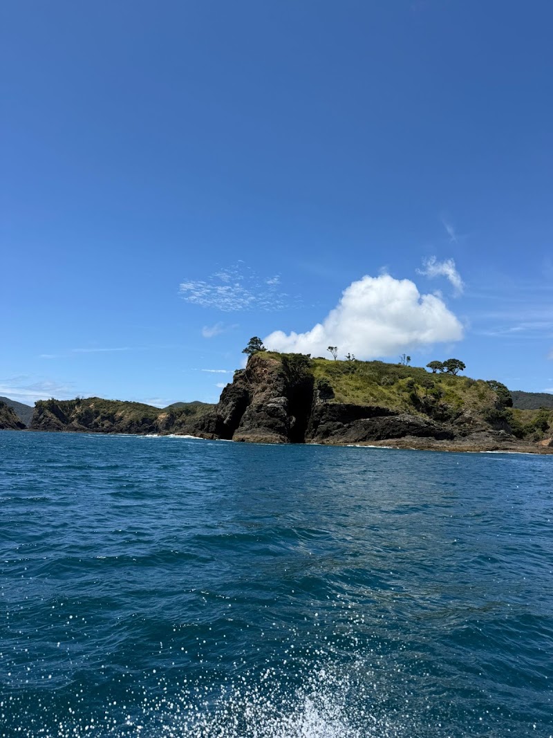Bay of Islands Adventures Ltd - Bay of Islands Adventures Ltd The Wharf, 69 Marsden Road, Paihia 0200, New Zealand