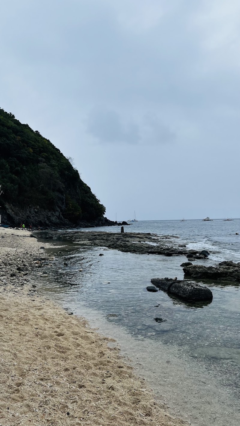 Rock west beach - Rock west beach, 37F9+8FF, Habagat Eco Trail, Apo Island, Dauin, Negros Oriental, Philippines