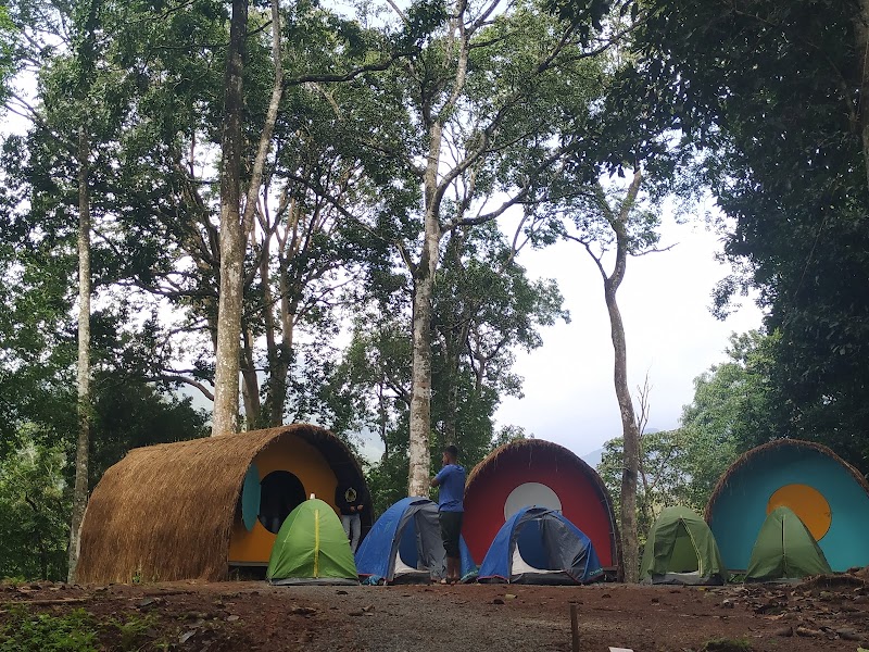Wildvibes Wayanad - Wildvibes Wayanad, Kalladi, ayyappa temple road, Vellarimala, Kalladi, Keralam 673577, India