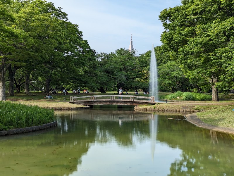 Yoyogi Park - Yoyogi Park 2-1 Yoyogikamizonochō, Shibuya, Tokyo 151-0052, Japan
