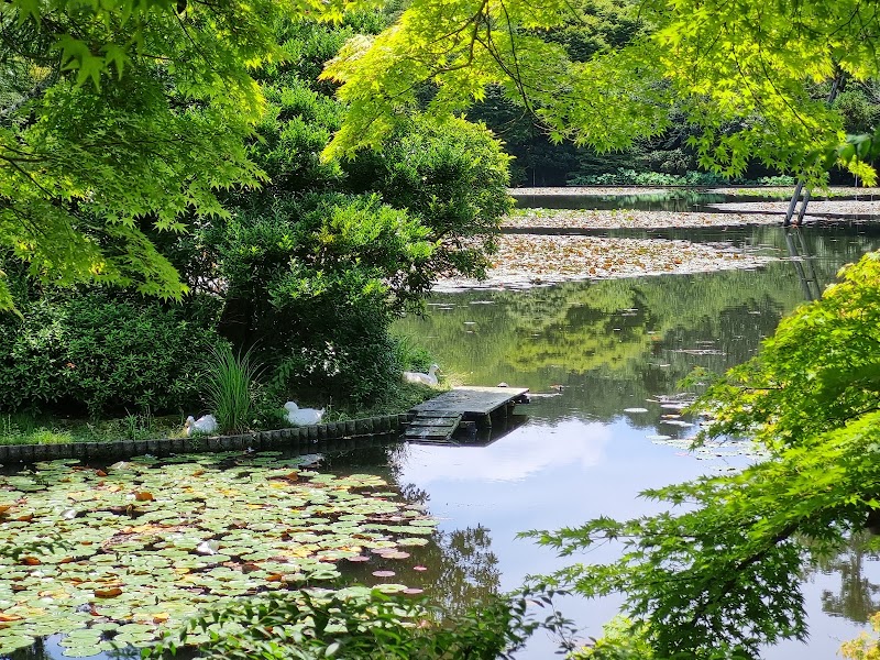 Ryōan-ji - Ryōan-ji 13 Ryōanji Goryōnoshitachō, Ukyo Ward, Kyoto, 616-8001, Japan