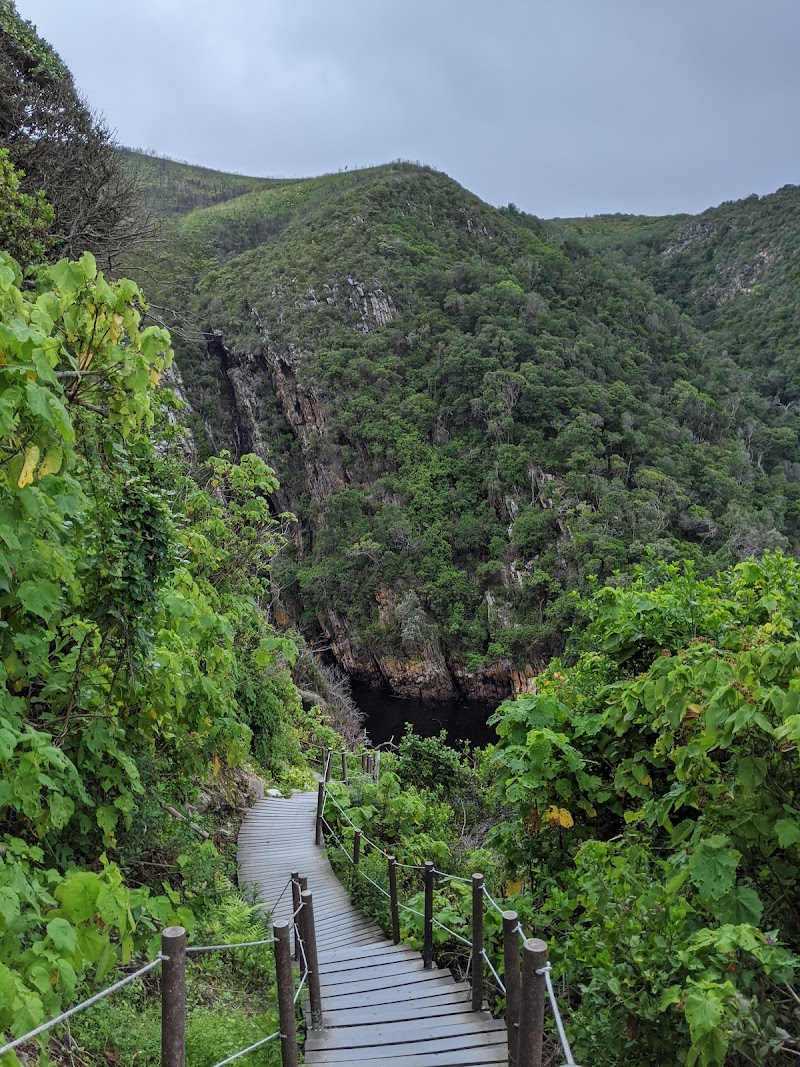 Tsitsikamma - Tsitsikamma, South Africa