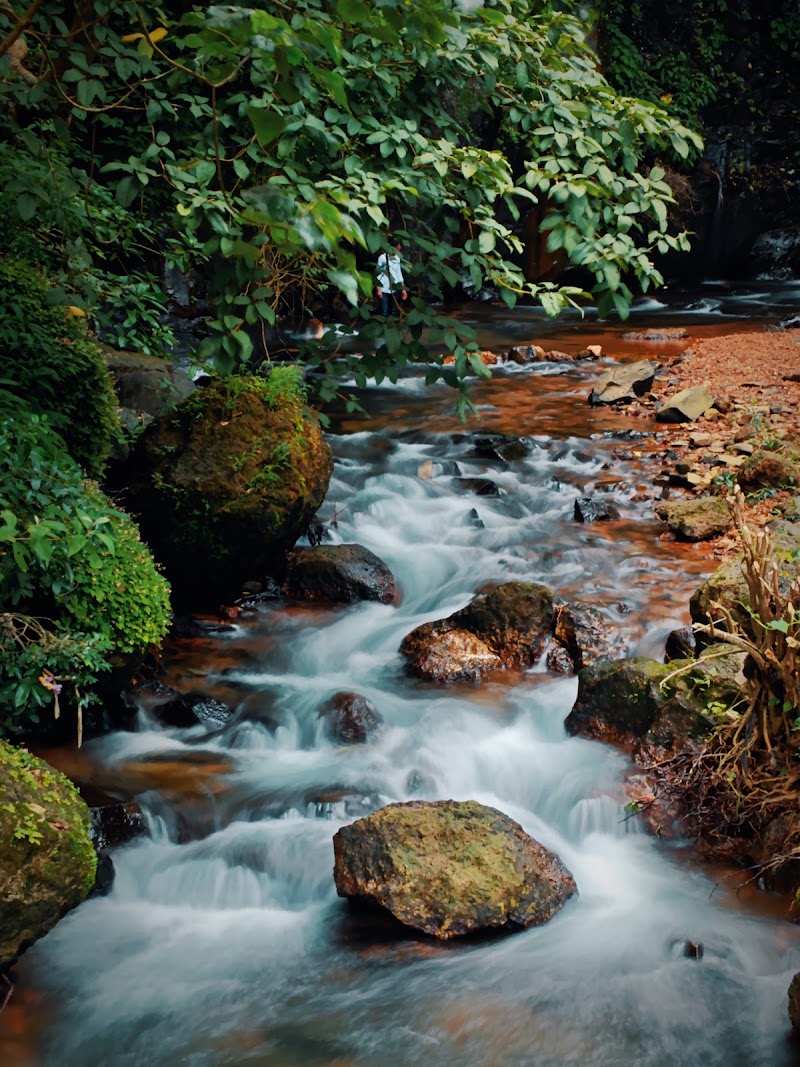 Nivendi waterfall - Nivendi waterfall 5856+X9H, Talekarwadi, Maharashtra 415615, India