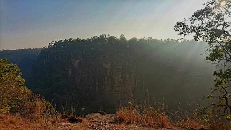 Sanjay National Park - Sanjay National Park, Belgaon, Madhya Pradesh 486669, India