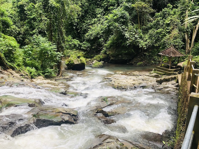 Tibumana Waterfall - Tibumana Waterfall Jl. Setra Agung, Apuan, Kec. Susut, Kabupaten Bangli, Bali 80661, Indonesia