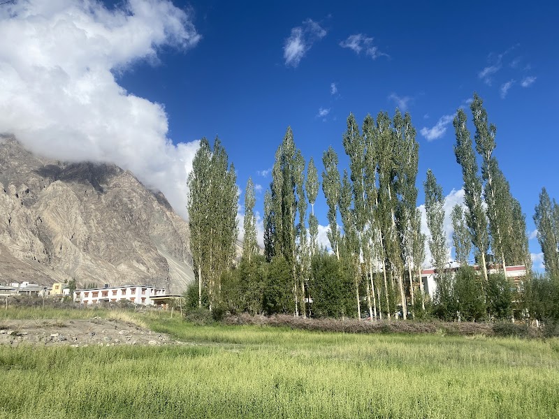 Otsal Guest House Diskit Nubra - Otsal Guest House Diskit Nubra Near main bazar circle chok Diskit Nubra, Diskit, 194401