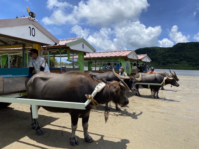 Yubu Island Water Buffalo Cart