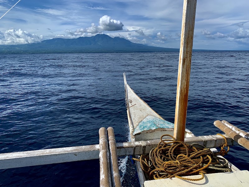 Apo Island View Deck - Apo Island View Deck, 37C9+F7W, Dauin, Negros Oriental, Philippines