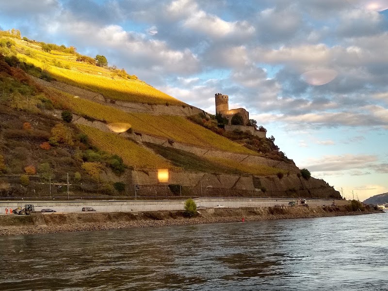 Niederwald in Rudesheim - Niederwald in Rudesheim, 65385 Rüdesheim am Rhein, Germany