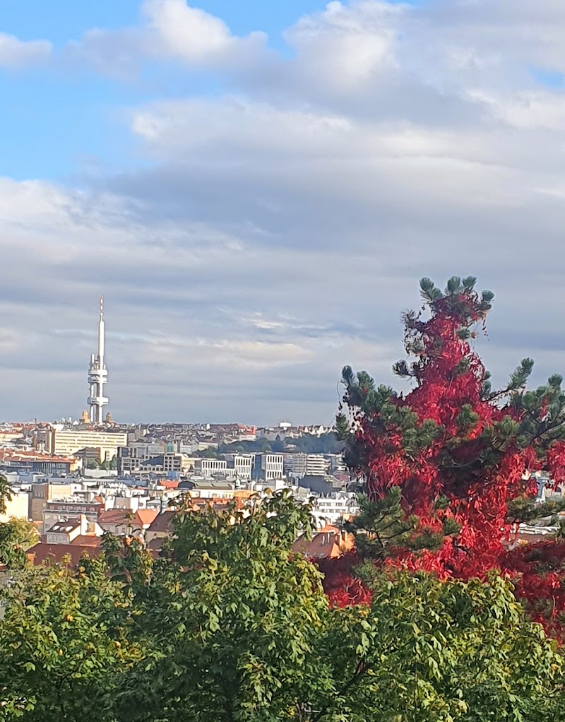 Žižkov - Žižkov Žižkov, 130 00 Prague 3, Czechia
