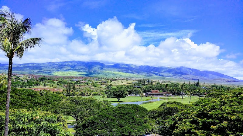 The Westin Maui Resort & Spa, Ka'anapali - The Westin Maui Resort & Spa, Ka'anapali 2365 Kaanapali Pkwy, Lahaina, HI 96761, USA