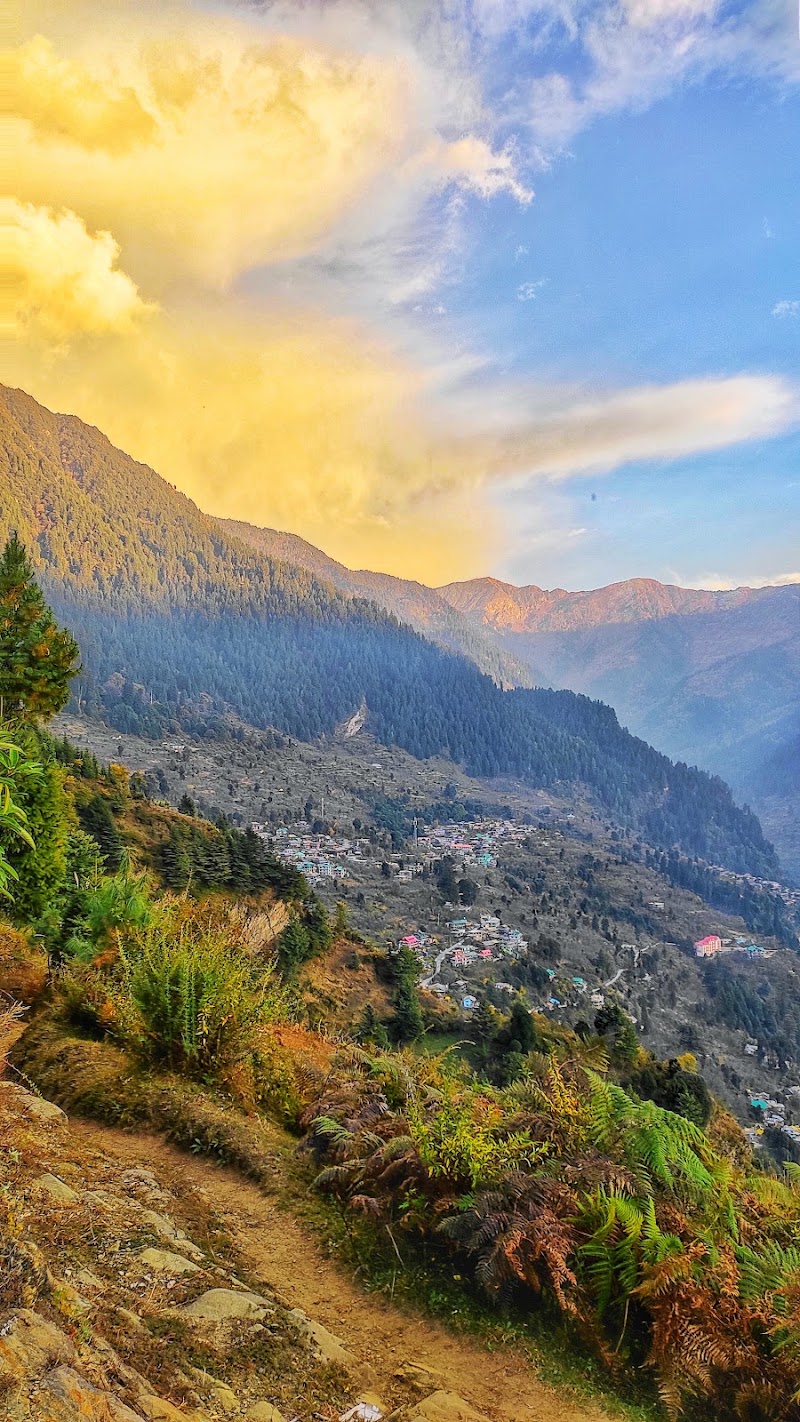 Hallan - Hallan 45J4+W4, Badgran, Himachal Pradesh 175129, India
