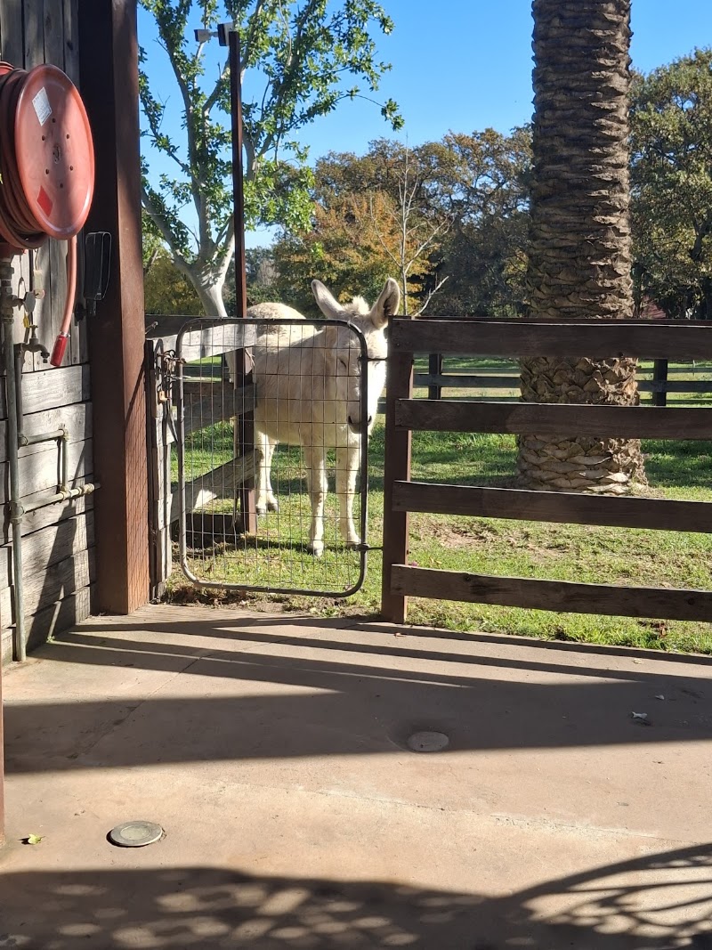 Farm Sanctuary SA - Farm Sanctuary SA, 63 Dirkie Uys St, Franschhoek, 7690, South Africa