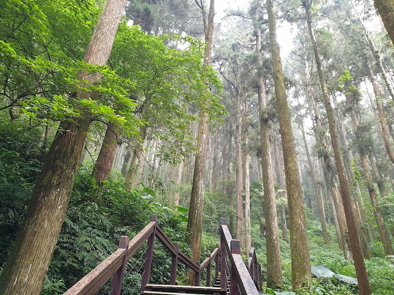 雲之道步道南口 - 雲之道步道南口 Zhonghe Village, Zhuqi Township, Chiayi County, Taiwan 604