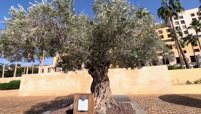 Swemeh - Swemeh, Jordan