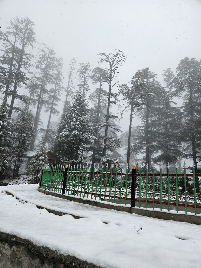 Bahu Lake - Bahu Lake J8F9+VW5, Gadagusheni Rd, Bahu, Himachal Pradesh 175123, India