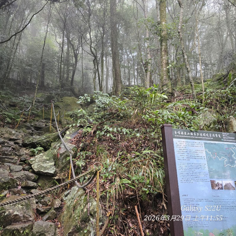 Yuanzui Mountain Trailhead - Yuanzui Mountain Trailhead, 424, Taiwan, Taichung City, Heping District, 200號林道