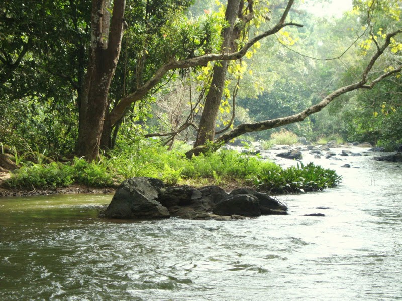 South India Tour Packages - South India Tour Packages, Near Sri Lakshmi Narasimha Swamy Temple, Green House Layout, Doddathoguru, Electronic City Phase I, Electronic City, Doddathoguru, Karnataka 560100, India