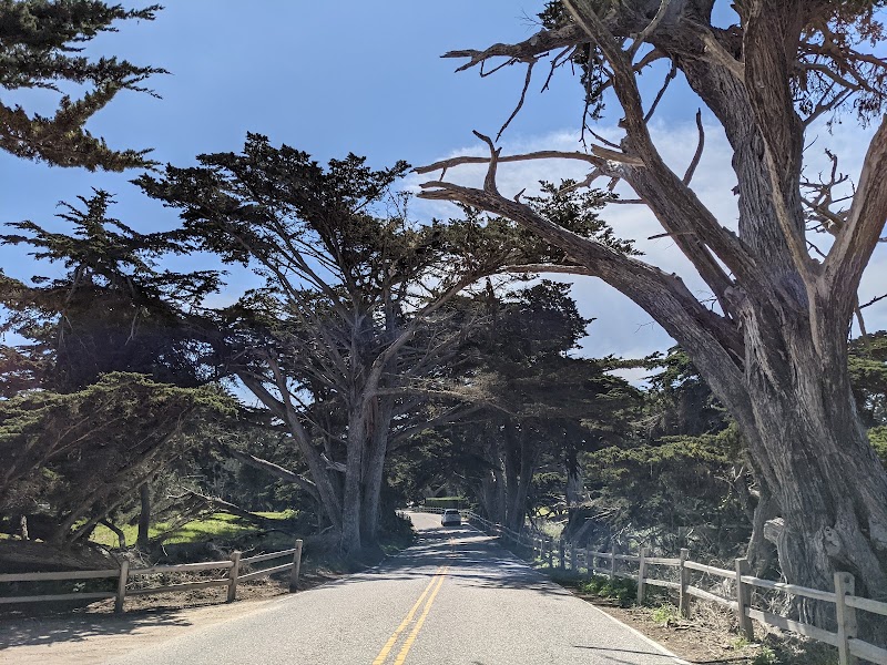 17 Mile Drive - 17 Mile Drive, 17 Mile Dr, Pebble Beach, CA 93953, USA
